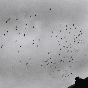 农村骚老头大鸡巴直播
